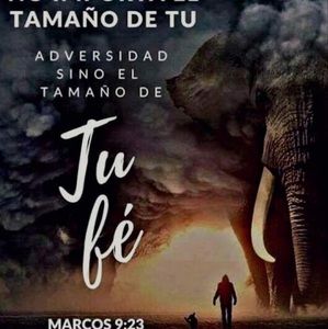 Meet your Posher, Ramiro